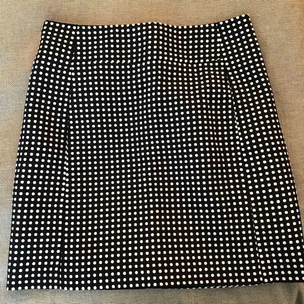 Ann Taylor loft skirt